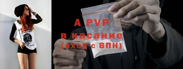 индика Баксан