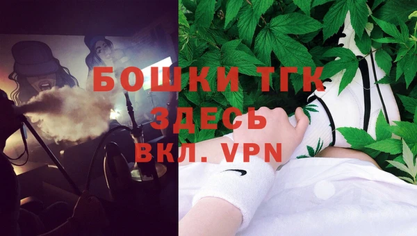 индика Баксан