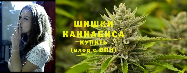 индика Баксан