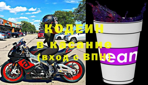 индика Баксан