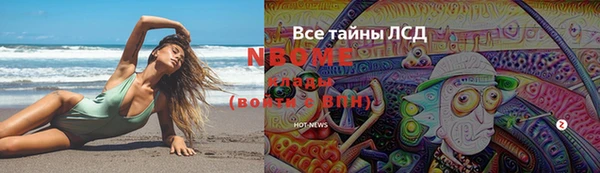 индика Баксан
