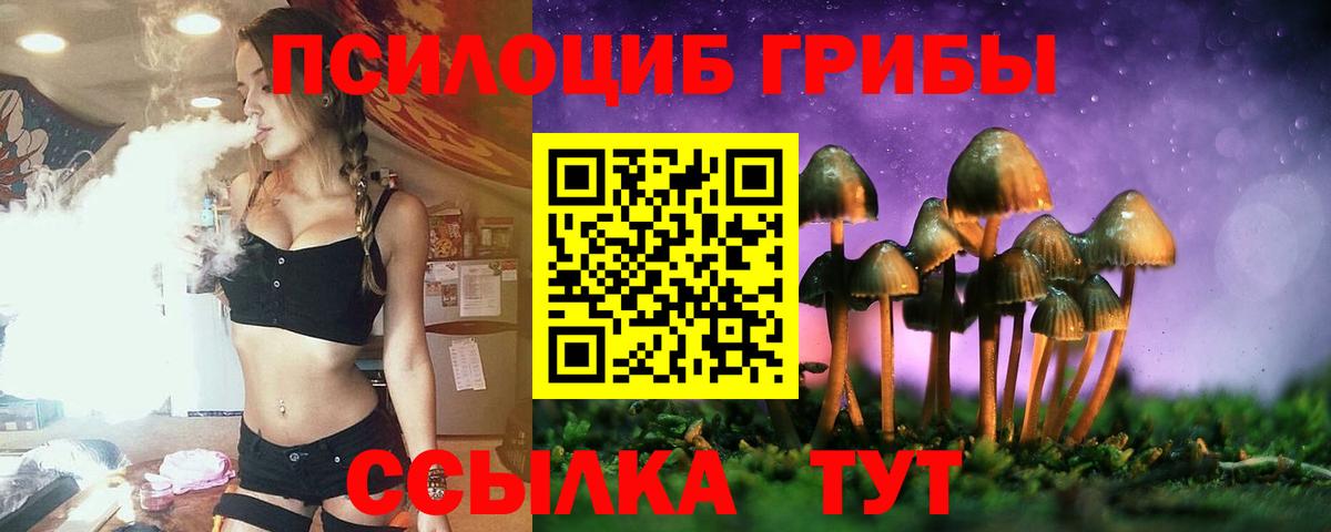 Псилоцибиновые грибы Psilocybine cubensis  Вход с VPN  Коммунар 